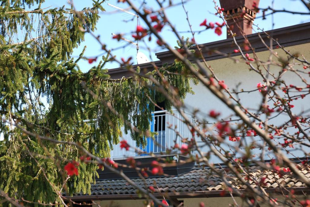 Villa Roma Holidays Jesolo Extérieur photo