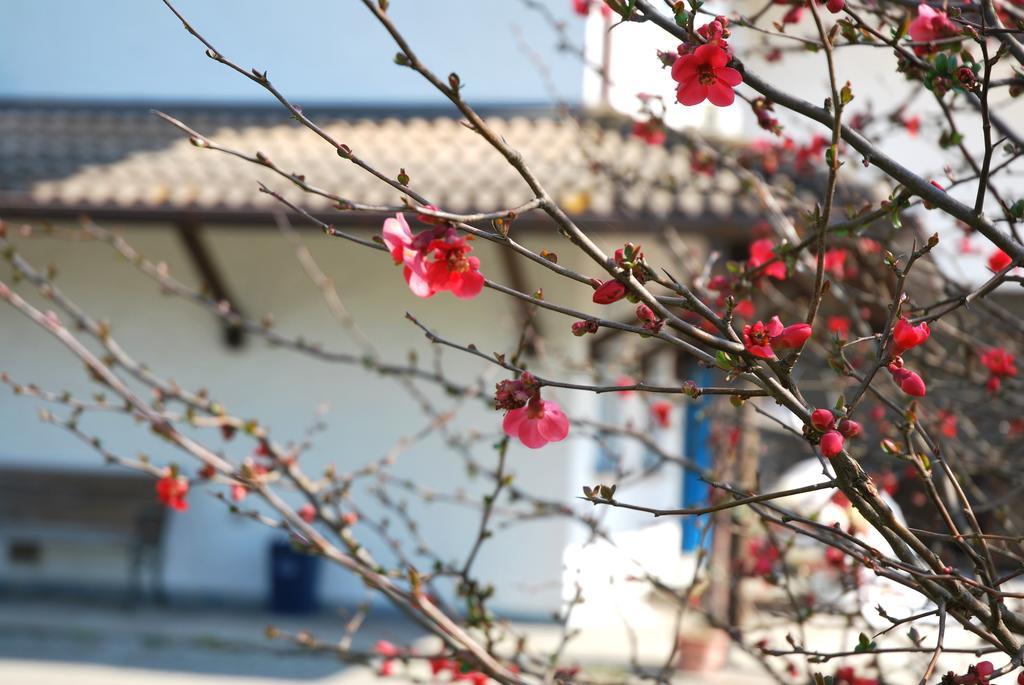 Villa Roma Holidays Jesolo Chambre photo